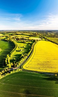 Panorama of Rapeseed Fields and Farms over Horsebridge nad Stockbridge from a drone, Hampshire,