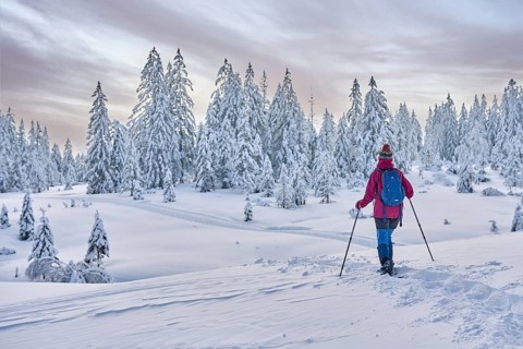 Nice and active senior woman hiking with snow shoes in deep powder snow in the Hochhaedrich area of