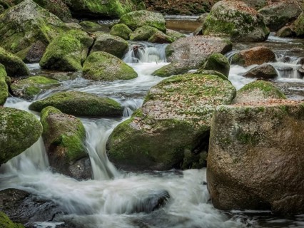 A stream with rocks and running water. Experience the landscape in nature, Austria
