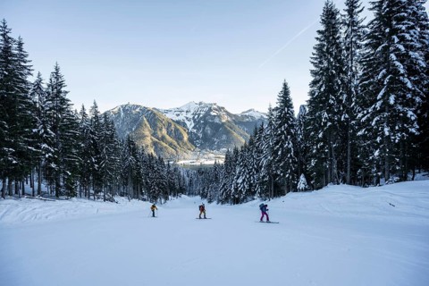 Three ski tourers climbing a slope, Bärenkopf, Achensee, Tyrol, Austria