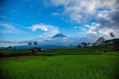 A volcano far away nestled in a landscape of green fields and trees under a blue sky, Volcano,