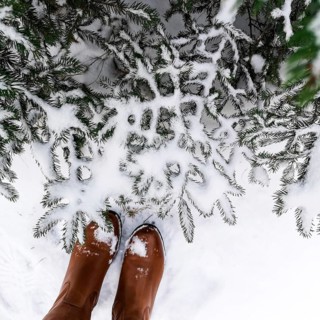 View of snow-covered pine branches from above, with brown boots visible, creating a wintry outdoor