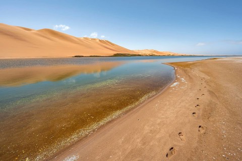 Sand dunes are reflected in the lagoon at Sandwich Harbour, footprints in the sand, Namib Naukluft