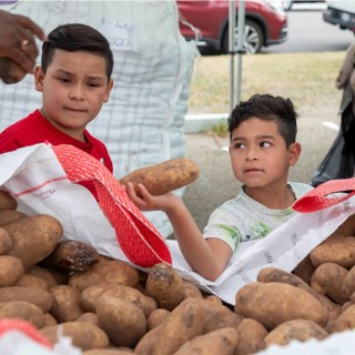 Denver, Colorado - The nonprofit We Don't Waste distributes 21 tons of surplus potatoes to area