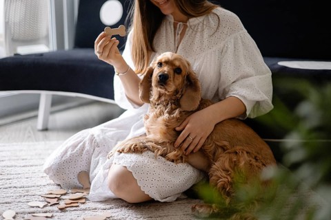 Woman in a white dress with a dog cocker spaniel on her lap holding a puzzle piece, indoors
