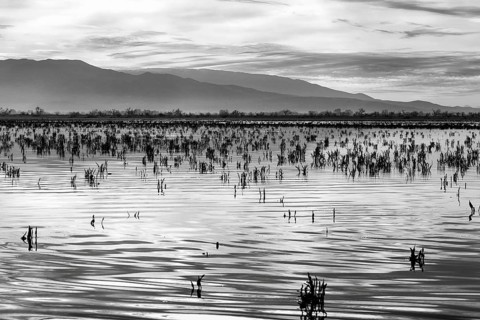 Shoreline, mountains on the horizon, reflections on the water surface, Lake Kerkini, Lake Kerkini,