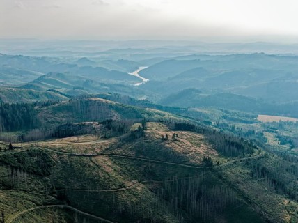 Mountain landscape in the Harz nature park Park, evening haze over the valleys, and in the