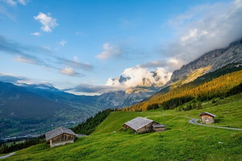 Alpine huts and alpine meadows, sunset, summit of the Wetterhorn in the background, Alpiglen,