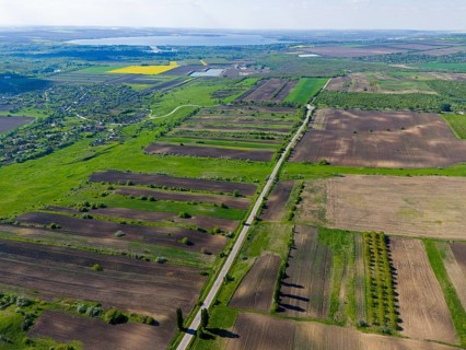 Green and brown fields with a long road in the middle in a wide rural area, aerial view, landscape
