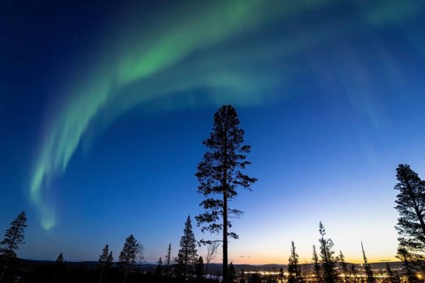 Northern Lights (Aurora borealis) over Gällivare, Norrbotten, Lapland, Sweden, April 2025