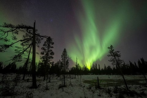 Northern Lights (Aurora borealis), Muddus National Park, Laponia World Heritage Site, Norrbotten,
