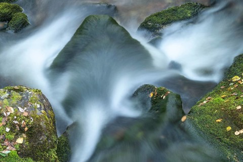 Moss-covered stones in mountain stream, Alvdal, Hedmark, Innlandet, Norway, September 2025