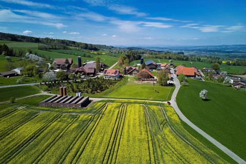 Blooming rapeseed field, back the village with farms, Geltwil, Freiamt, Canton of Aargau,