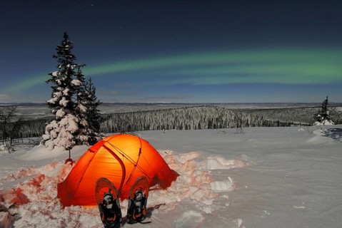 Bivouac, illuminated, twilight, Northern Lights (Aurora borealis) above a tent in the snow, Stubba