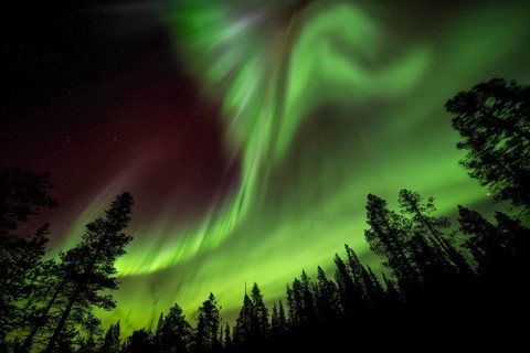 Northern Lights (Aurora borealis), Norrbotten, Lapland, Sweden, October 2022