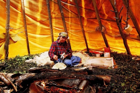 Bake bread in a pan over an open fire in traditional Sami style in a tent poop, Lapland, Sweden