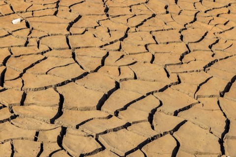 Dried ground of the Lehnmühle dam, Dippoldiswalde, Saxony, Germany