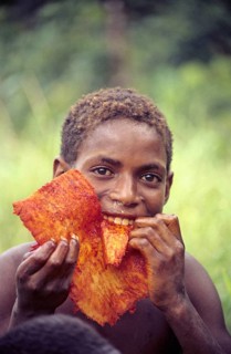 Boy from the Huli tribe eating a pandanus fruit, Lake Kopiago, Southern Highlands Province, Papua