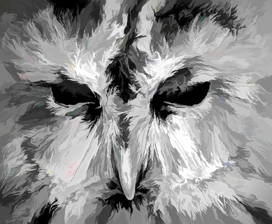 A great grey owl or great gray owl, Strix nebulosa, digitally edited