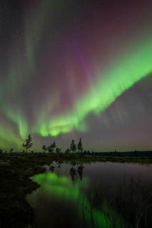 Northern Lights (Aurora borealis) reflected in a mountain lake, Norrbotten, Lapland, Sweden,