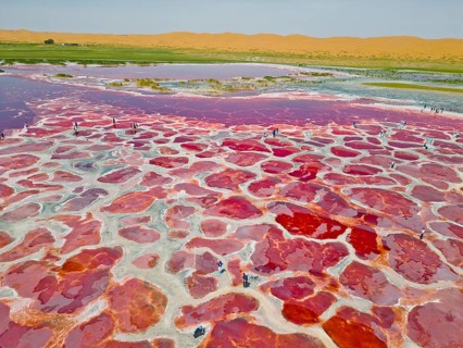 Aerial view of Ulan Lake, Red Lake, caused by microorganisms and algae such as Dunaliella salina,