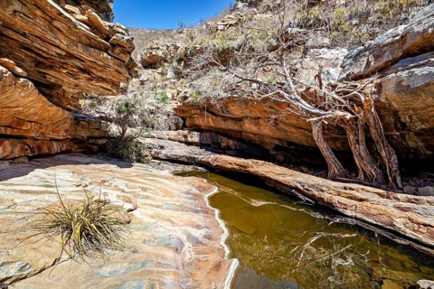 Rocky gorge with water basin and bare trees in a dry desert landscape under clear skies, the