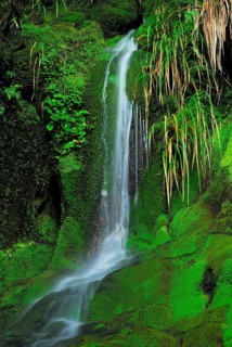 Waterfall on Routebrun Track, Routeburn Valley, Routeburn Track, Humboldt Mountains, Mount Aspiring