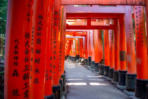 Walk through hundreds of red traditional torii gates, Fushimi Inari Taisha, Shinto Shrine, Fushimi