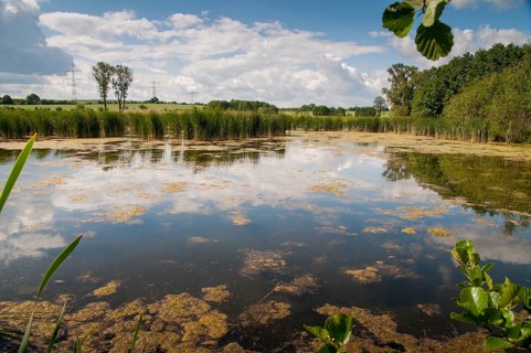 Friessnitzer See-Struth, Germany, Greiz, Seewiesen, Thuringia, small water, landscape, nature