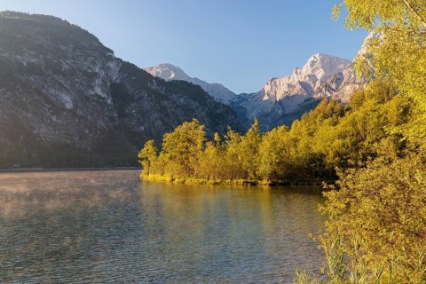 The tree-covered floating island in Lake Almsee bathed in the early morning light. Austria