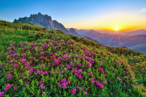 The Jaun Pass with the Gastlosen mountain range at sunrise, in the foreground, the rusty-leaved