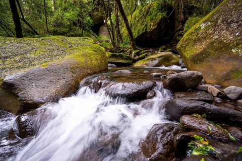 Mhlwazini River flows through thick forest, original mountain forest, Rainbow Gorge,