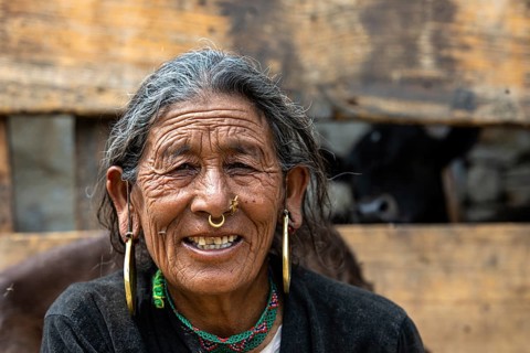 Portrait, friendly smiling elderly woman with traditional jewelry, Hindu ethnic group, Himalayas,