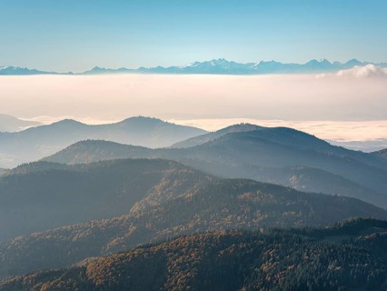 Morning atmosphere on the Belchen in autumn, view over hills and endless forests to the Swiss Alps,