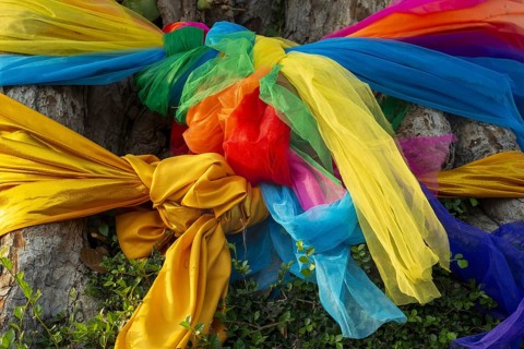 Sacred cloths around the roots of a strangler fig (Ficus religiosa), Ayutthaya, Thailand