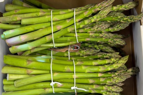 Green asparagus (Asparagus) Green asparagus Vegetable asparagus on display in grocery stores