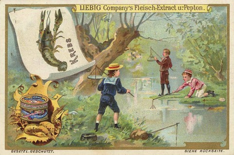 Picture series Fishing, Children fishing on the riverbank, Liebigbild, digitally restored