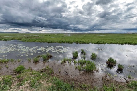 Reflection in the Hunte during stormy cloudy sky in the wetland at Dümmer See, Hüde