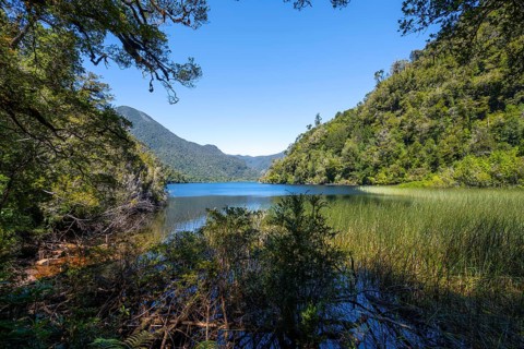 Lake Laguna Chaiquenes between wooded mountains, Andino Alerce National Park, Llanquihue, Los