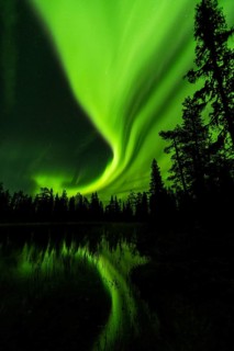 Northern Lights (Aurora borealis) reflected in a forest lake, Muddus National Park, Laponia World