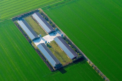 Aerial view of a stable for animal breeding in the district of Vechta, agriculture, Oldenburger
