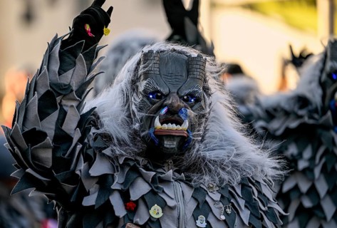 Member of a fools' guild in traditional Haes, fools' clothes, during the carnival procession in