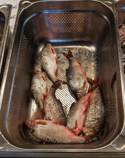 Fish at a weekly market market, the Netherlands