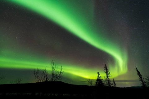 Northern Lights, starry sky, (Aurora borealis), Norrbotten, Lapland, Sweden, Swedish Lapland,