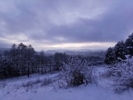 Snowy landscape in evening light with trees and hills under a cloudy sky, view from Kreuzberg over