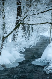 Greiz, Thuringia, Triebitzbach, Bach, Brook, ice, rivers, high size, vertical format, ice,