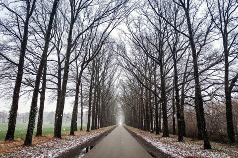 Winter trip with snow on an alley in Almelo, the Netherlands
