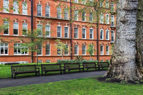 Wooden benches line a lawn beneath mature trees in Mount Street Gardens, a former burial ground in