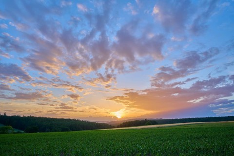 The sun sets, bathes a green landscape in warm colors while the sky is permeated with orange light,
