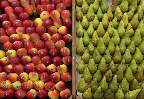 Apples (Malus) and pears (Pyrus) at a fruit stall, Enschede, Netherlands